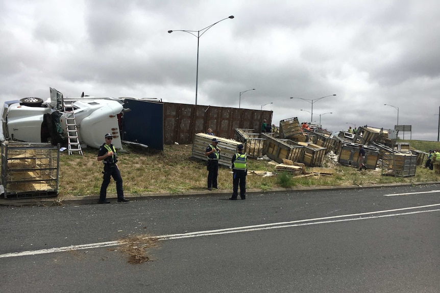 A large truck lies on its side next to the road. Police standby and crates are strewn next to the truck.