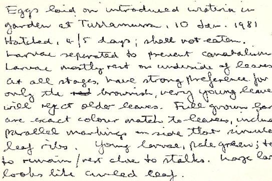 Diary entry from Graeme D Rushmore about butterfly specimens