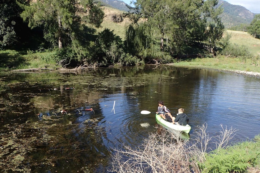 Two men in a canoe in a narrow part of a river, surrounded by trees and green grass