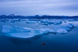 Floating icebergs dot a deep blue sea in low, blue light of the Arctic.