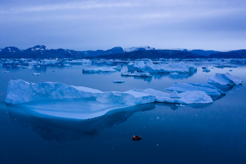 Floating icebergs dot a deep blue sea in low, blue light of the Arctic.