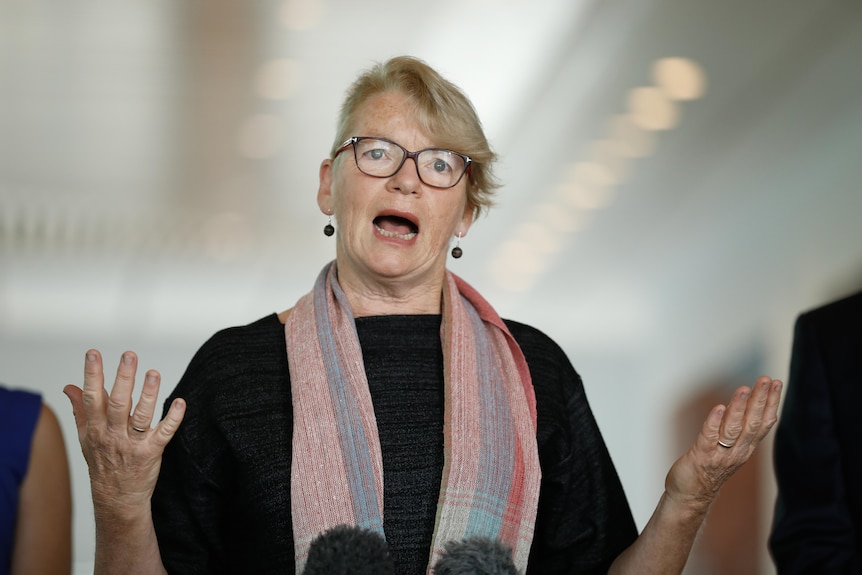 Jane Rice, with a light pink scarf on, speaking mid-sentence with her hands slightly raised