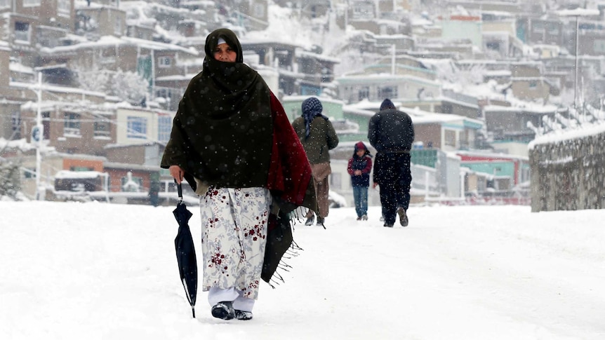 Heavy snow falls across Afghanistan
