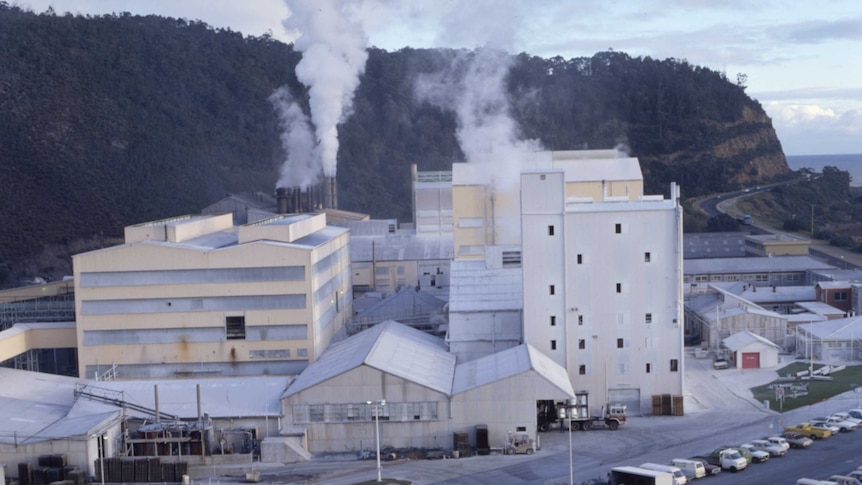 Series of buildings with smoking chimneys form a factory next to a mountain escarpment along a coastal road.