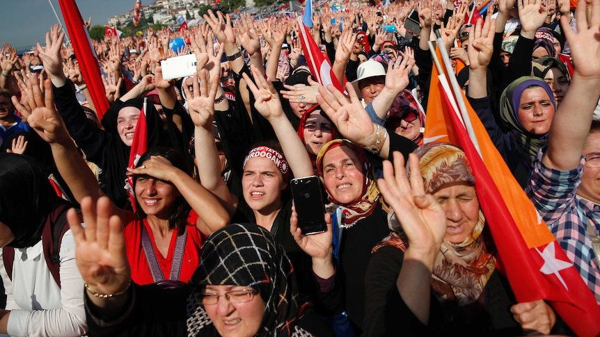 hundreds of supporters of Turkey's President chant and hold flags