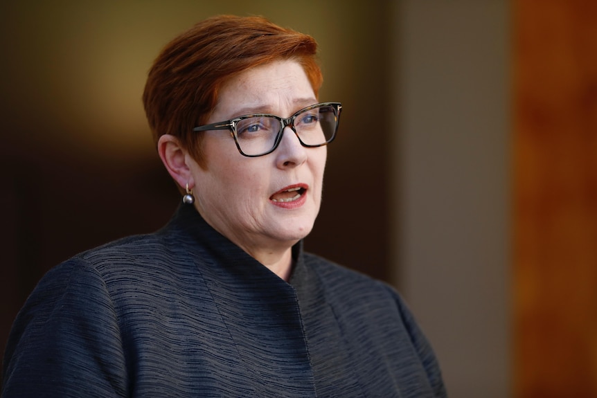 Marise Payne wearing a black jacket mid-sentence in an outdoor courtyard