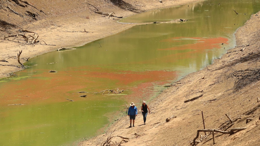 A man and a woman walking alongside stagnant-looking green algae-covered water in a near empty deep river bed