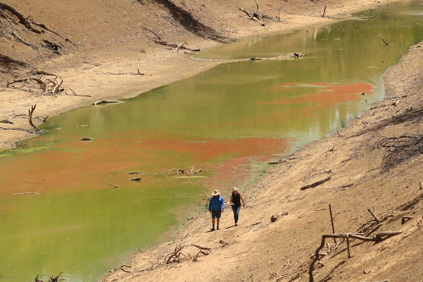 A man and a woman walking alongside stagnant-looking green algae-covered water in a near empty deep river bed