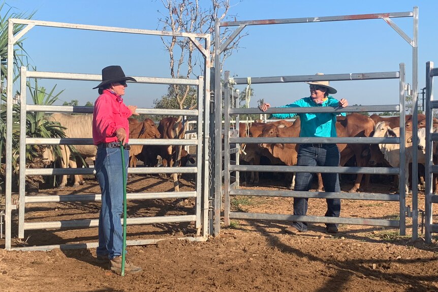 Two women in Akubra hats and jeans standing at the metal gate of a cattle pen, with a mob of cattle behind him