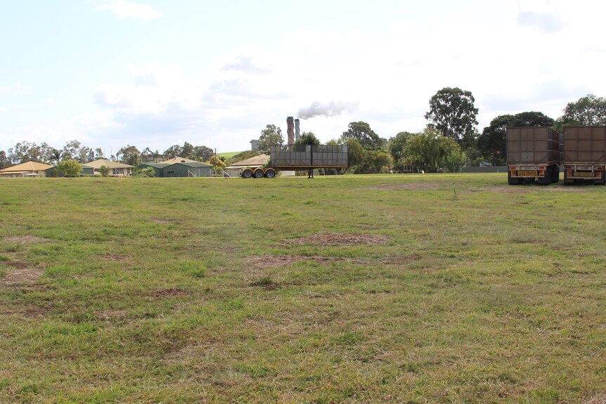 A grassy paddock with sugar mill towers and cane trucks in the background