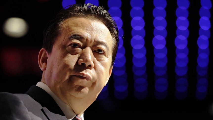 A side-on photo of Interpol president Meng Hongwei