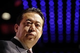 A side-on photo of Interpol president Meng Hongwei