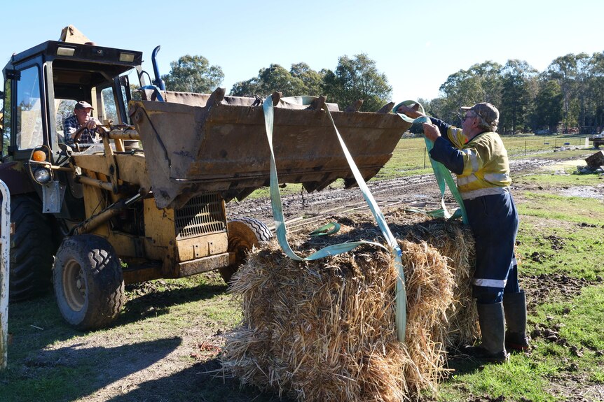 Two older men unloading hay bales using a tractor.