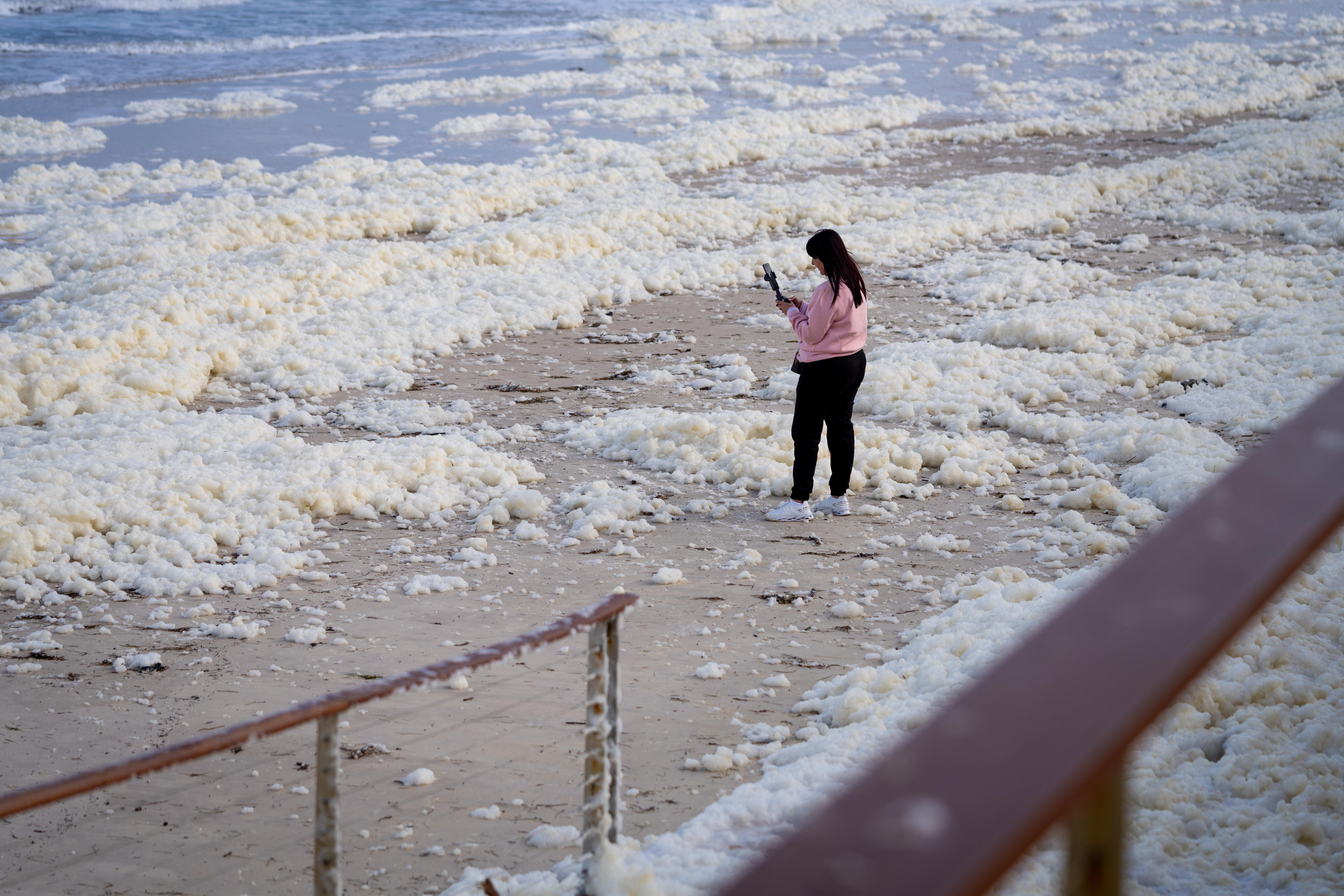 Foam at an Adelaide beach amid an algal bloom.