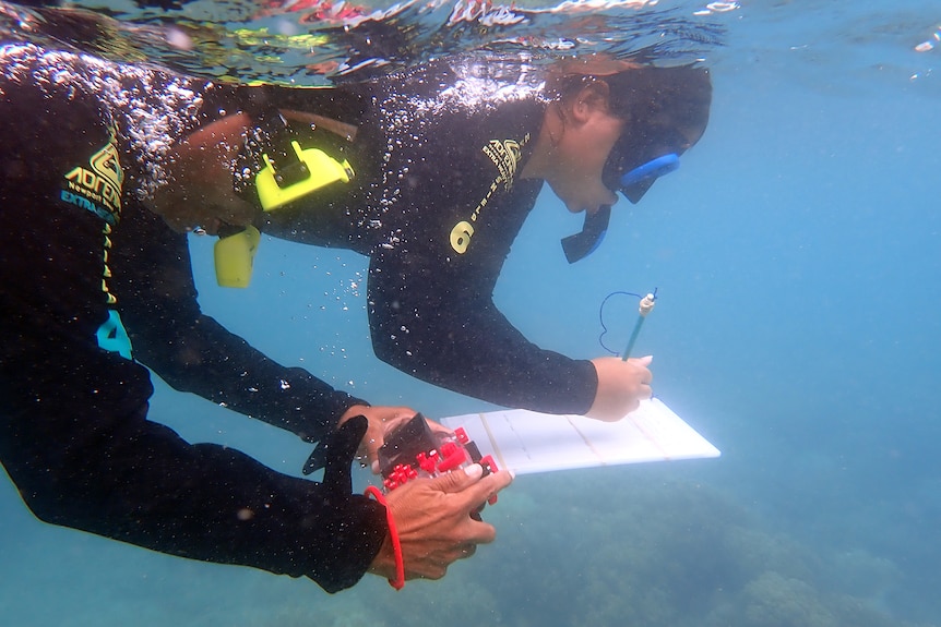 Two women snorkeling. One holds a pen and board they are writing on.