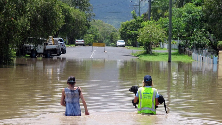 A woman and man carrying a dog through waste deep water in Queensland.