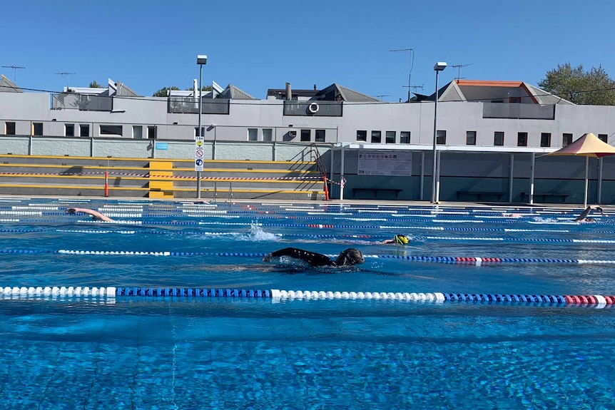 A side view of a person in a wetsuit swimming laps at Fitzroy Pool on a bright sunny day.