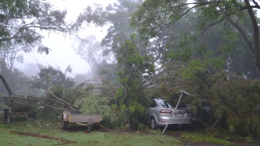 Trees fall on cars as storms lash southeast Queensland