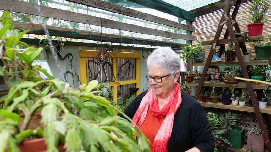 Kay Bennett tends to her garden in Dubbo.