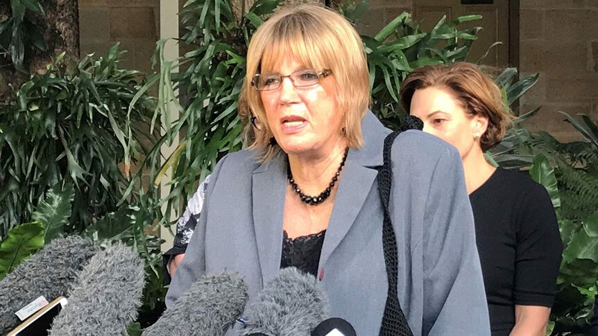 Mary Adams speaking to the media at Parliament House in Brisbane on April 30, 2018.