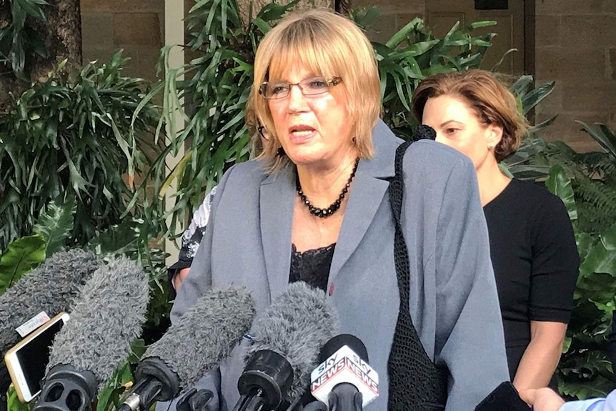 Mary Adams speaking to the media at Parliament House in Brisbane on April 30, 2018.