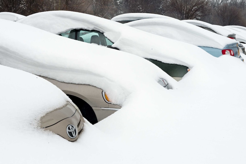 Cars covered by snow in United States