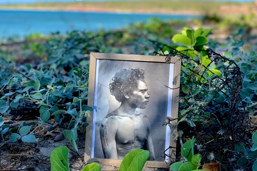 A photograph of a young man leaning in bush on a beach