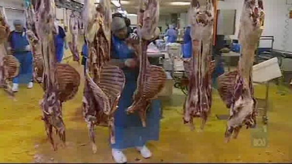 Workers on the processing floor at Bindaree Beef.