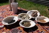 Dried leaves, berries and nuts sit on display in large clean oyster shells. The tablecloth is decorated with Indigenous artwork.