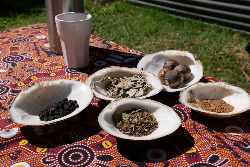 Dried leaves, berries and nuts sit on display in large clean oyster shells. The tablecloth is decorated with Indigenous artwork.