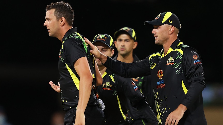 Australian players celebrate a Sri Lankan wicket in the men's T20 international.