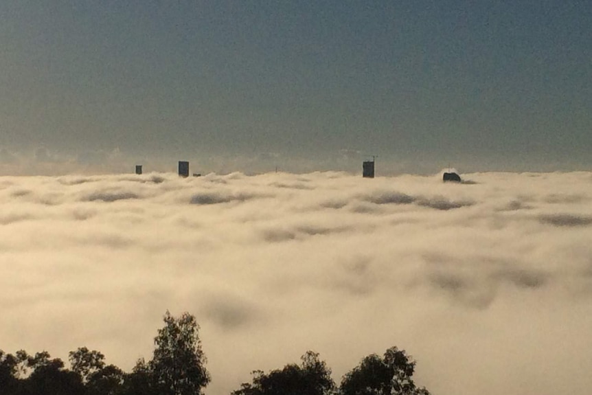 Fog over Brisbane city from Mt Coottha