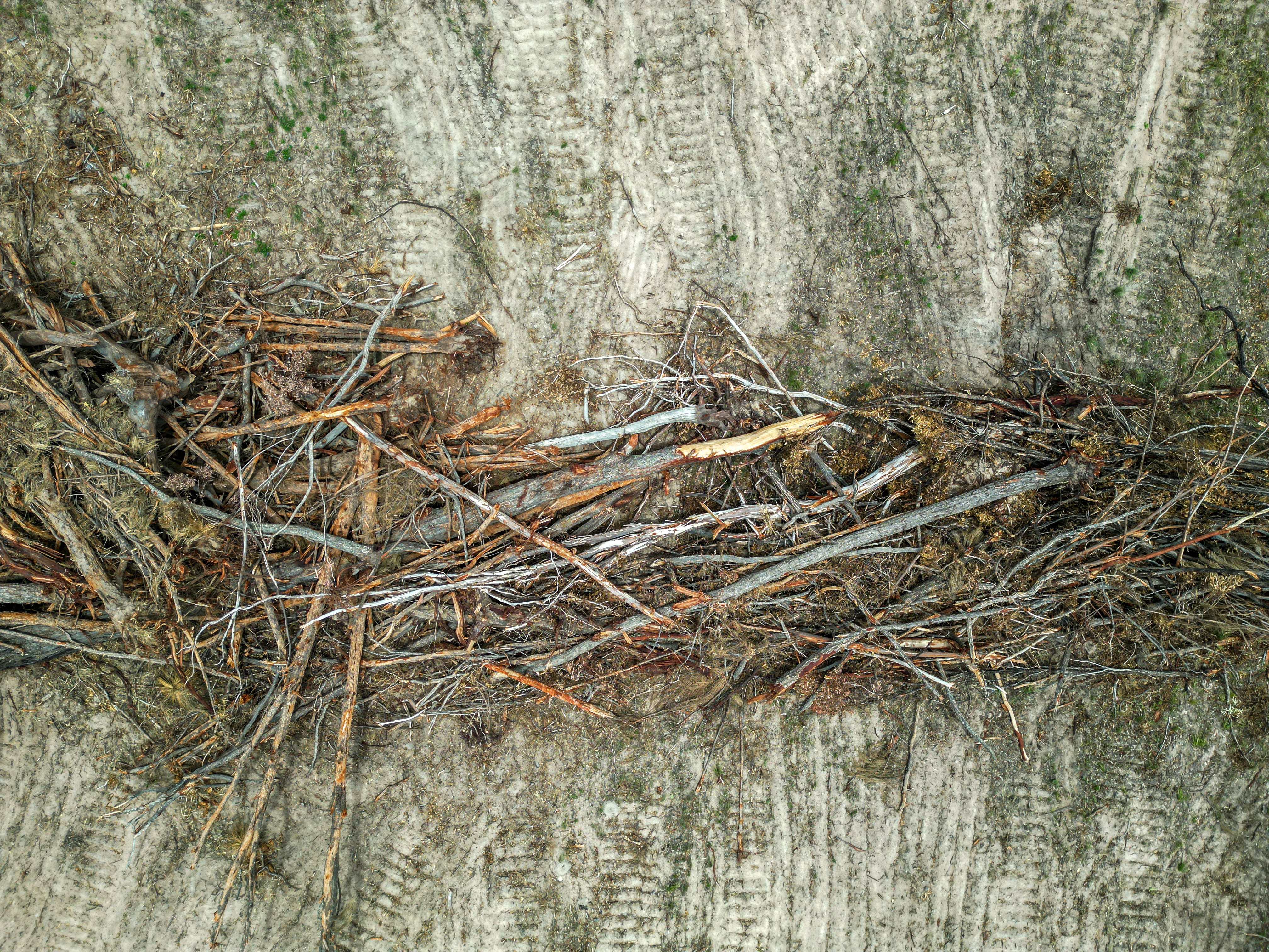 Warwick land cleared 2