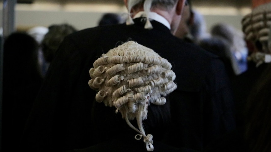the backs of barristers, wearing wigs, as they exit the courtroom 