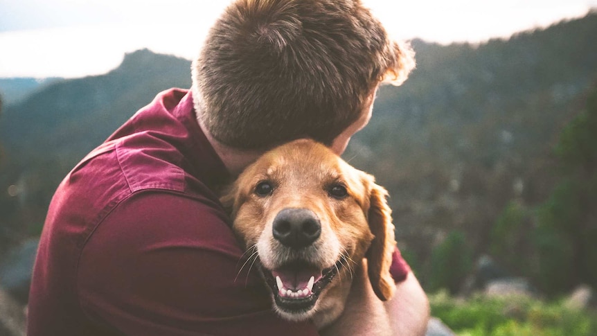 Person with short hair hugging a golden brown dog, who is looking at the camera for a story about how to handle a bad day.