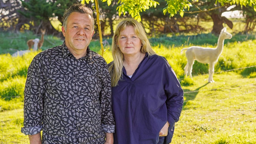 A man in a patterned black shirt stands smiling under a tree next to a woman in navy, an alpaca stands in the field behind them.