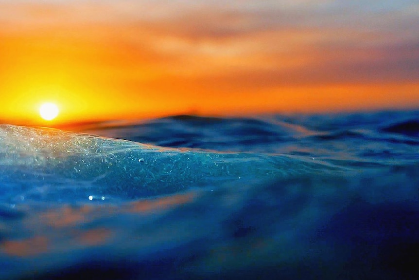 Close up of wave at sunset