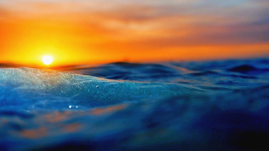 Close up of wave at sunset