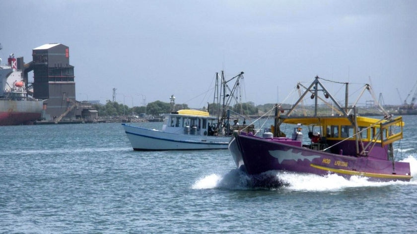 Prawn trawlers on the Hunter River