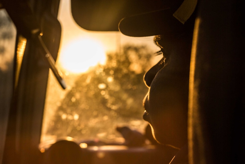 A woman sitting in a car is shown in profile, backlit by the sunset.