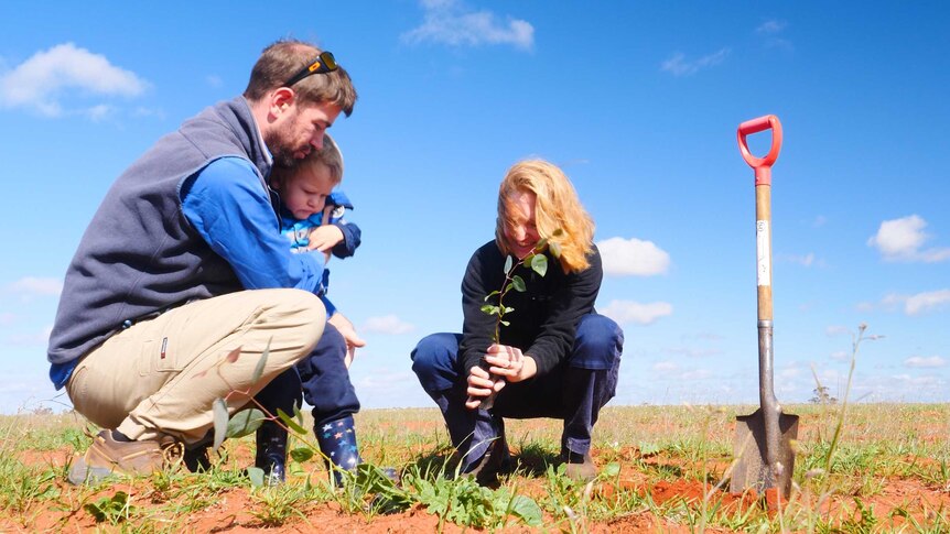 Ben, Liam and Tina Parkhurst planting a york gum seedling on cleared land at Eurardy Nature Reserve.