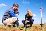 Two adults and a small child plant a york gum seedling on cleared land at Eurardy Nature Reserve