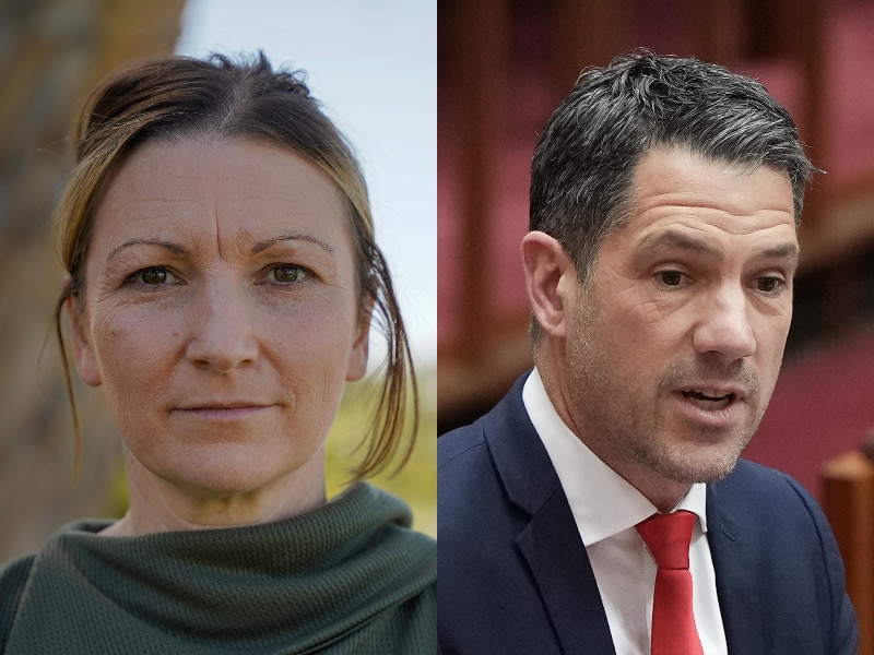 Breaking: Senator Alex Antic wins SA Liberal presidency
