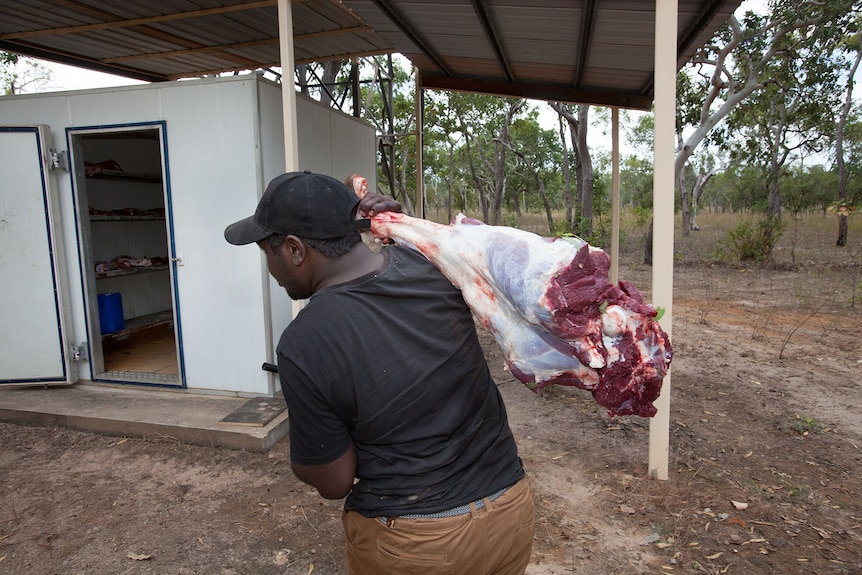 A man walking and carrying a leg of buffalo meat over his shoulder in a bush setting.