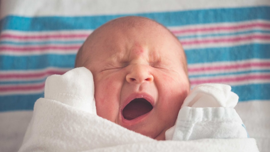 A newborn baby wrapped up in a white blanket.