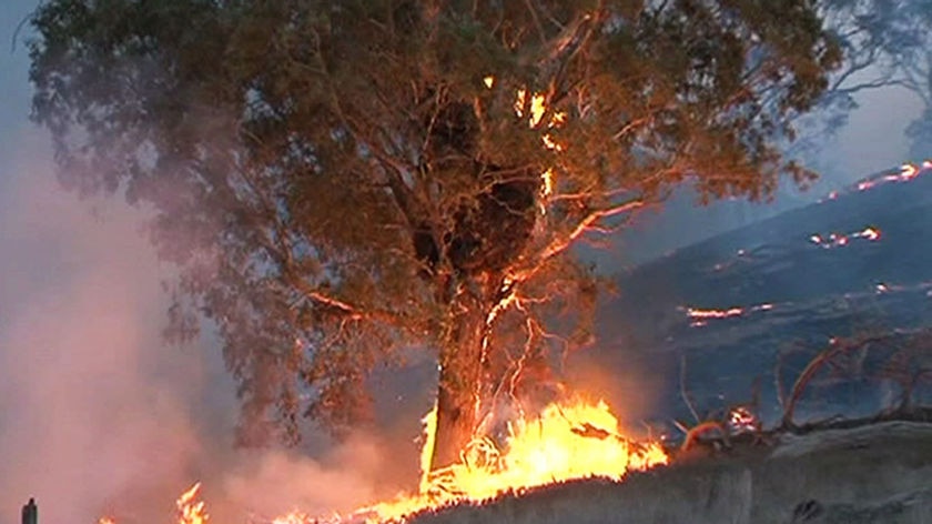 Strong wind gusts across the state's south remain a serious concern for fire crews.