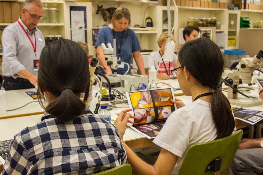 Students were guided by Dr Robert Adlard and Jeff Johnson from the Queensland Museum.