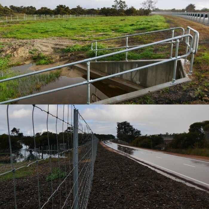 Esgrima de fauna y un paso subterráneo de fauna a lo largo del costado de la carretera. 
