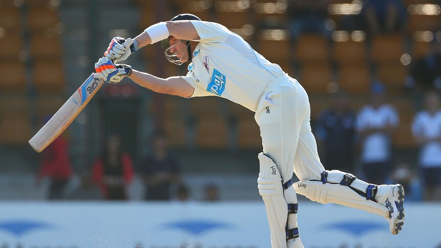 Brad Haddin of New South Wales scored a Shield century for New South Wales.