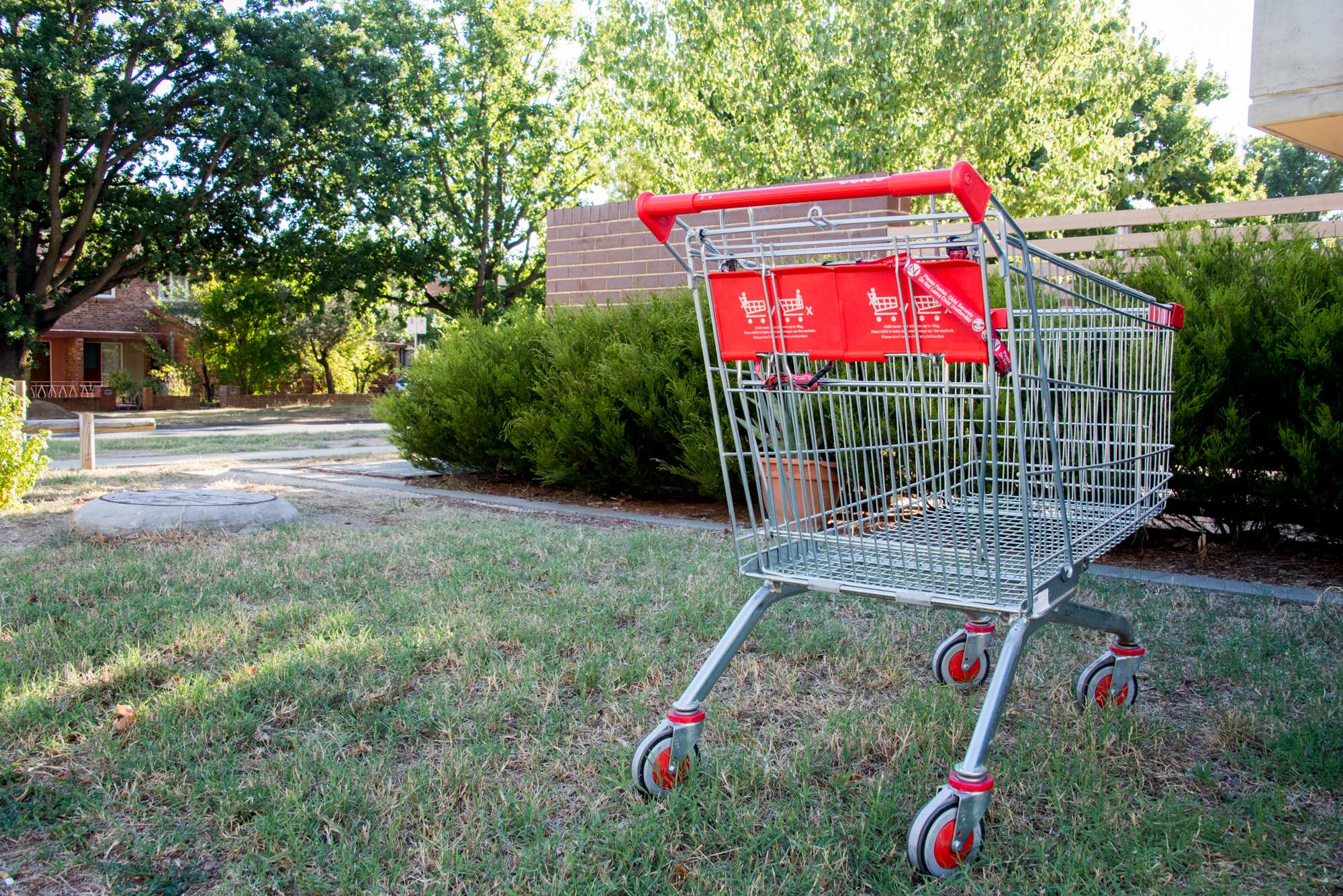 Tale of the lost trolleys Campaign launched to bring them home ABC News
